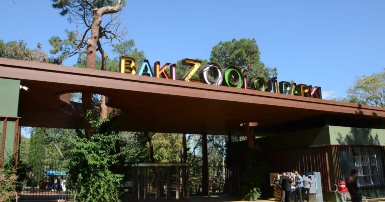 В Бакинском зоопарке рассказали о графике работы в дни праздника Новруз