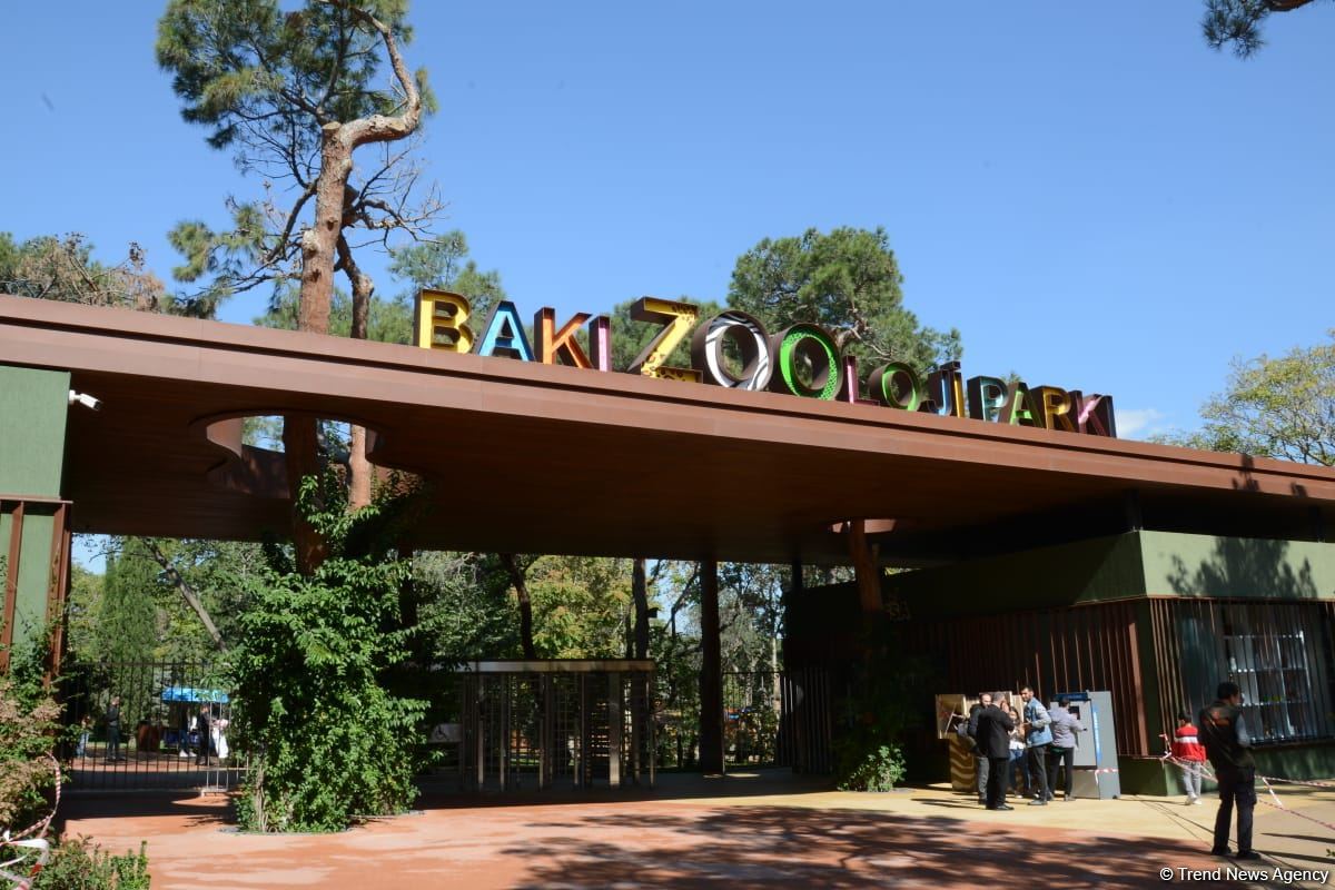 Зоопарк в баку