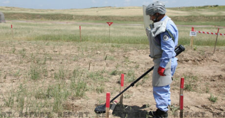 ANAMA: На освобожденных территориях обнаружено еще 165 мин