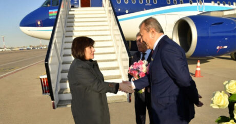 Начался официальный визит делегации Милли Меджлиса в Узбекистан
