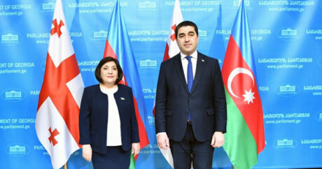 Спикер парламента Азербайджана встретилась с председателем парламента Грузии