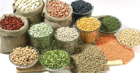 В Азербайджане выводятся новые сорта зерновых и бобовых