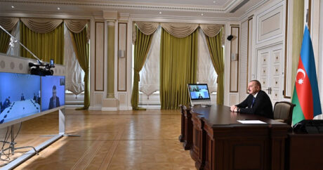 Президент Азербайджана принял гендиректора ФАО в видеоформате
