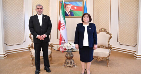 Сахиба Гафарова встретилась с заместителем председателя парламента Ирана