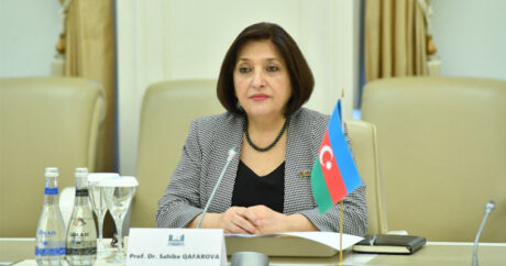 Сахиба Гафарова: Азербайджан считает ОЭС важной региональной организацией