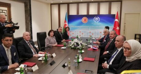 В Стамбуле состоялась встреча председателей парламентов Азербайджана и Турции