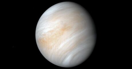 Опровергнуто существование признаков жизни на Венере