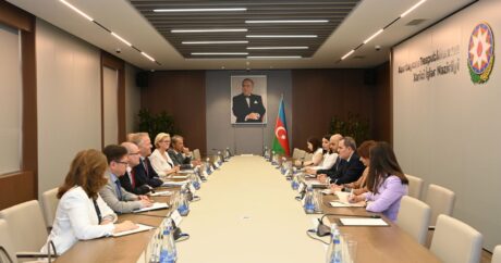 Глава МИД Азербайджана встретился с председателем группы Комитета представителей СЕ