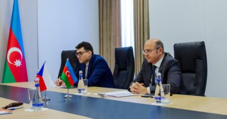 Азербайджан и Чехия обсудили создание рабочей группы в энергосфере