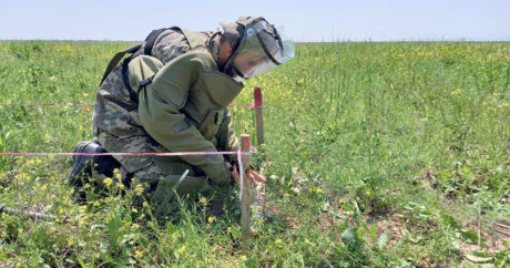 Минобороны Азербайджана обнародовало количество обезвреженных на освобожденных территориях мин