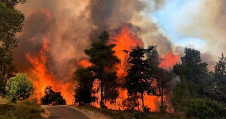 Площадь лесных пожаров в России удвоилась за сутки