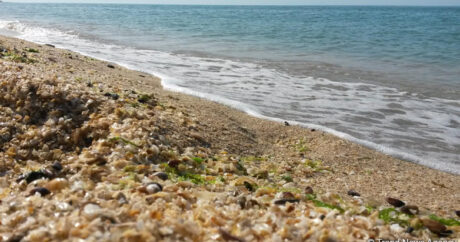Снижение уровня воды в Каспии связано с изменением климата — минэкологии