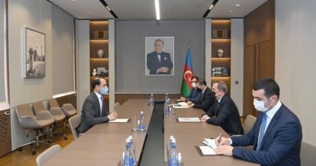 Завершился срок дипломатической деятельности посла Швеции в Азербайджане