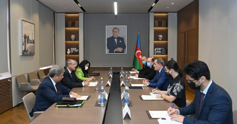 Глава МИД Азербайджана встретился с помощником министра иностранных дел Египта