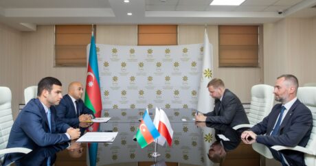 Обсуждены возможности сотрудничества в сфере МСБ между Азербайджаном и Польшей