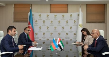Азербайджан и ОАЭ обсудили расширение сотрудничества и обмен опытом в сфере МСБ