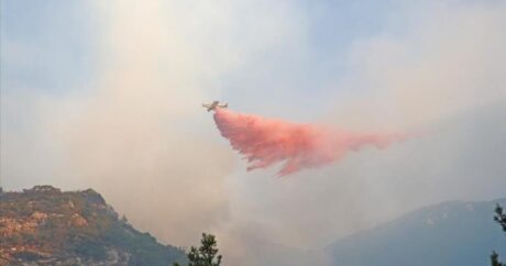 На юго-западе Турции продолжается борьба с лесными пожарами