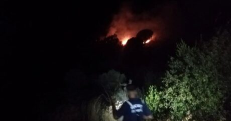 На юге Турции потушили крупный лесной пожар