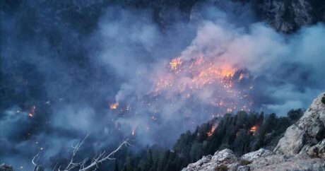 На юге Турции тушат лесной пожар