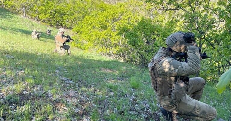 На юго-востоке Турции нейтрализованы 2 террориста