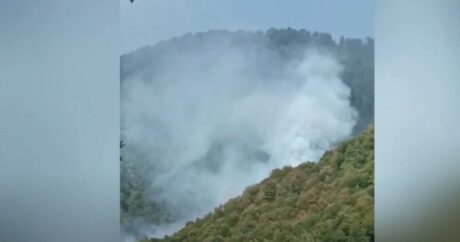 В Габале в горной местности возник пожар