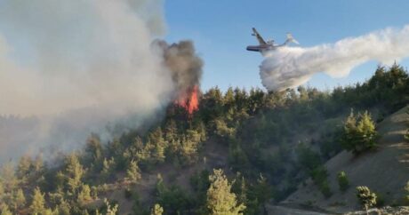 В Загатале предотвращено распространение пожара на более обширные территории