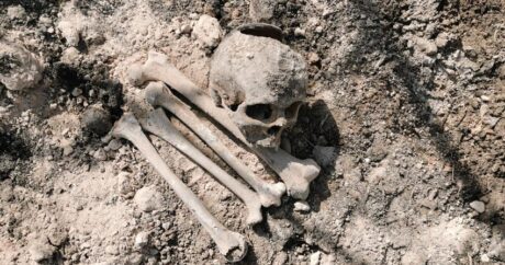 Пройдет экспертиза обнаруженных в Агдаме и Кяльбаджаре останков
