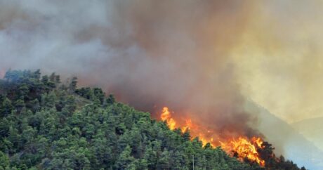 В Губинском и Шабранском районах начался пожар в лесной местности