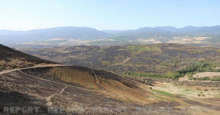 В некоторых селах Шабрана потушены пожары