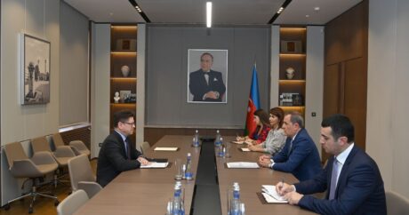 Глава МИД Азербайджана встретился с руководителем Бакинского офиса СЕ