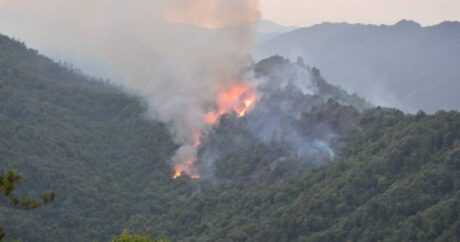 Обнародованы результаты спутникового мониторинга пожаров в Азербайджане