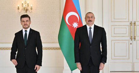 Президент Ильхам Алиев принял верительные грамоты посла Боснии и Герцеговины
