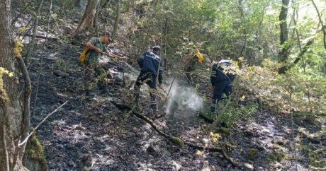 Лесные пожары в северном регионе Азербайджана полностью потушены