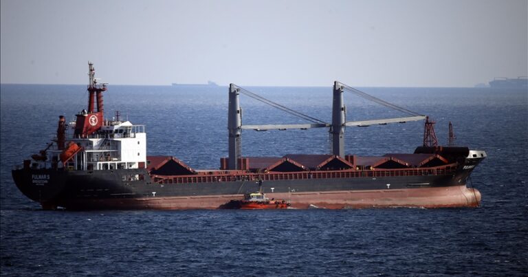 Из Турции отбыло первое судно для доставки зерна из Украины