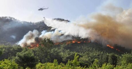 В Шеки к тушению лесных пожаров привлечены 2 вертолета