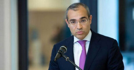 Министр экономики Азербайджана назвал рост числа трудовых договоров
