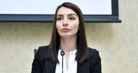 Лейла Абдуллаева: Армянские радикалы не впервые нападают на дипмиссии Азербайджана