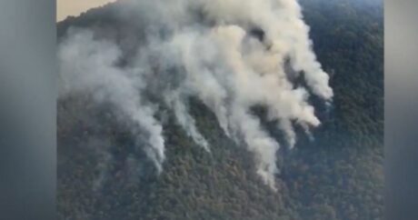 К тушению пожаров в Загатале привлечены три вертолета