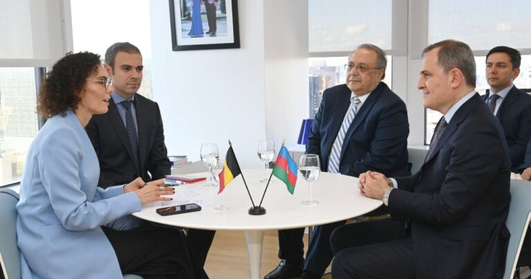 Джейхун Байрамов встретился с министром иностранных дел Бельгии