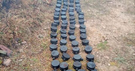 В Лачине и Кяльбаджаре обнаружены еще 74 мины