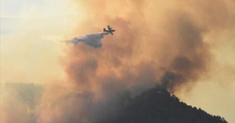 Пожарным на юго-западе Турции удалось локализовать крупный лесной пожар