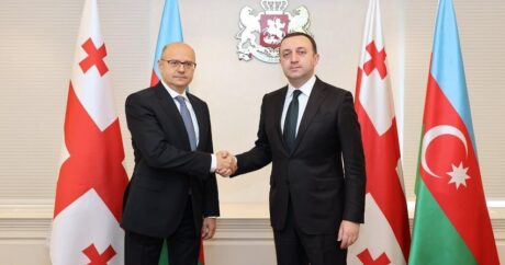 Пярвиз Шахбазов обсудил с премьер-министром Грузии энергетическое сотрудничество