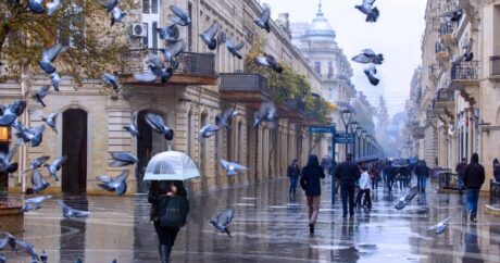 Прогноз погоды в Азербайджане на завтра