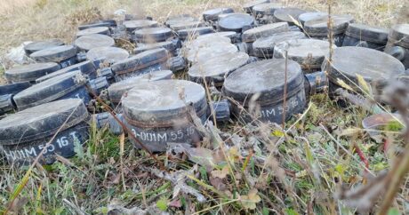 В Дашкесане обезврежены мины