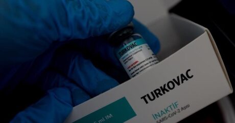 Турецкие ученые разрабатывают вакцину от ККГЛ