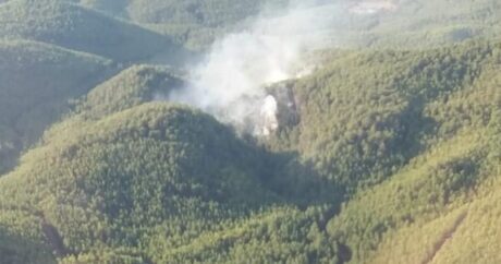 К тушению лесных пожаров на юго-западе Турции привлечена авиация