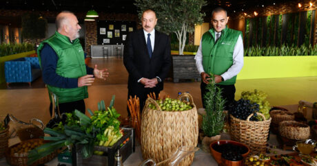Ильхам Алиев принял участие в открытии завода по переработке оливкового масла