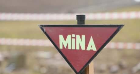 Аппарат омбудсмена распространил заявление в связи с обнаруженным на высоте Сарыбаба минным полем