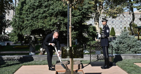 Президент Ильхам Алиев принял участие в церемонии посадки деревьев в Самарканде