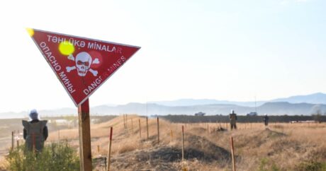 Международное сообщество не должно игнорировать минную проблему в Азербайджане